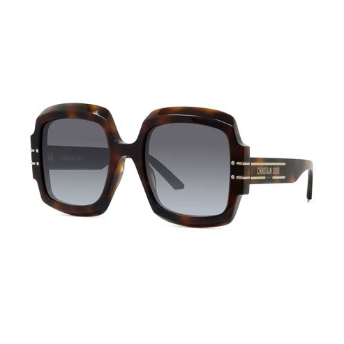 Dior zonnebril – DiorSignature S1U