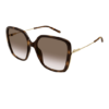 Chloé zonnebril CH0173S - 002 - Havana - Optiek Lammerant