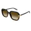 Chloé zonnebril CH0204S - Black & havana - Optiek Lammerant