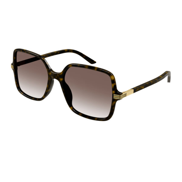 Gucci GG1449S zonnebril - Havana - optiek Lammerant