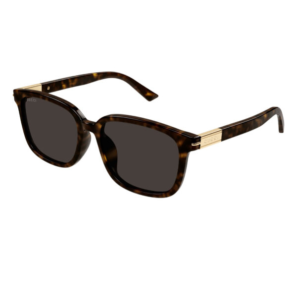 Gucci GG1505SK zonnebril - Havana - optiek Lammerant