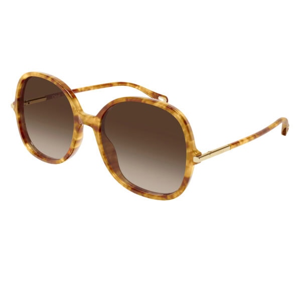 Chloé CH0383S zonnebril - Havana brown - Optiek Lammerant