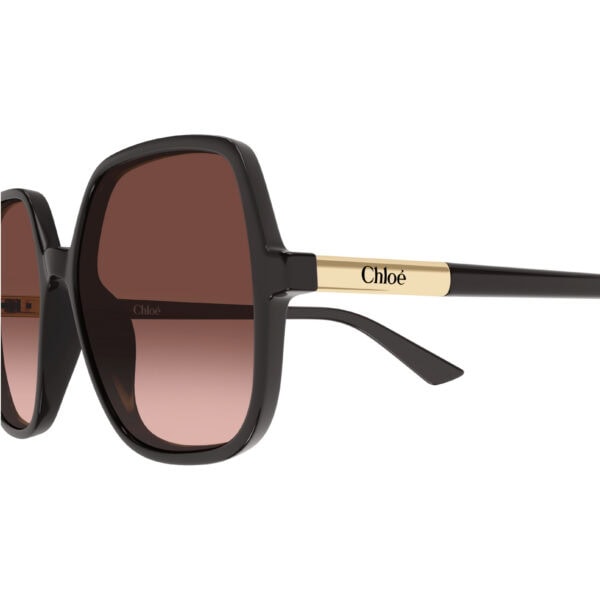 Chloé CH0362S zonnebril - Grey - Optiek Lammerant